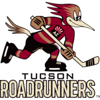 Michael Carcone 2021-2022 Tucson Roadrunners Alternate Set Game Worn Jersey  — Desert Hockey Threads